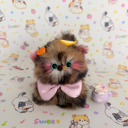 Fluffy Kitten Collection
