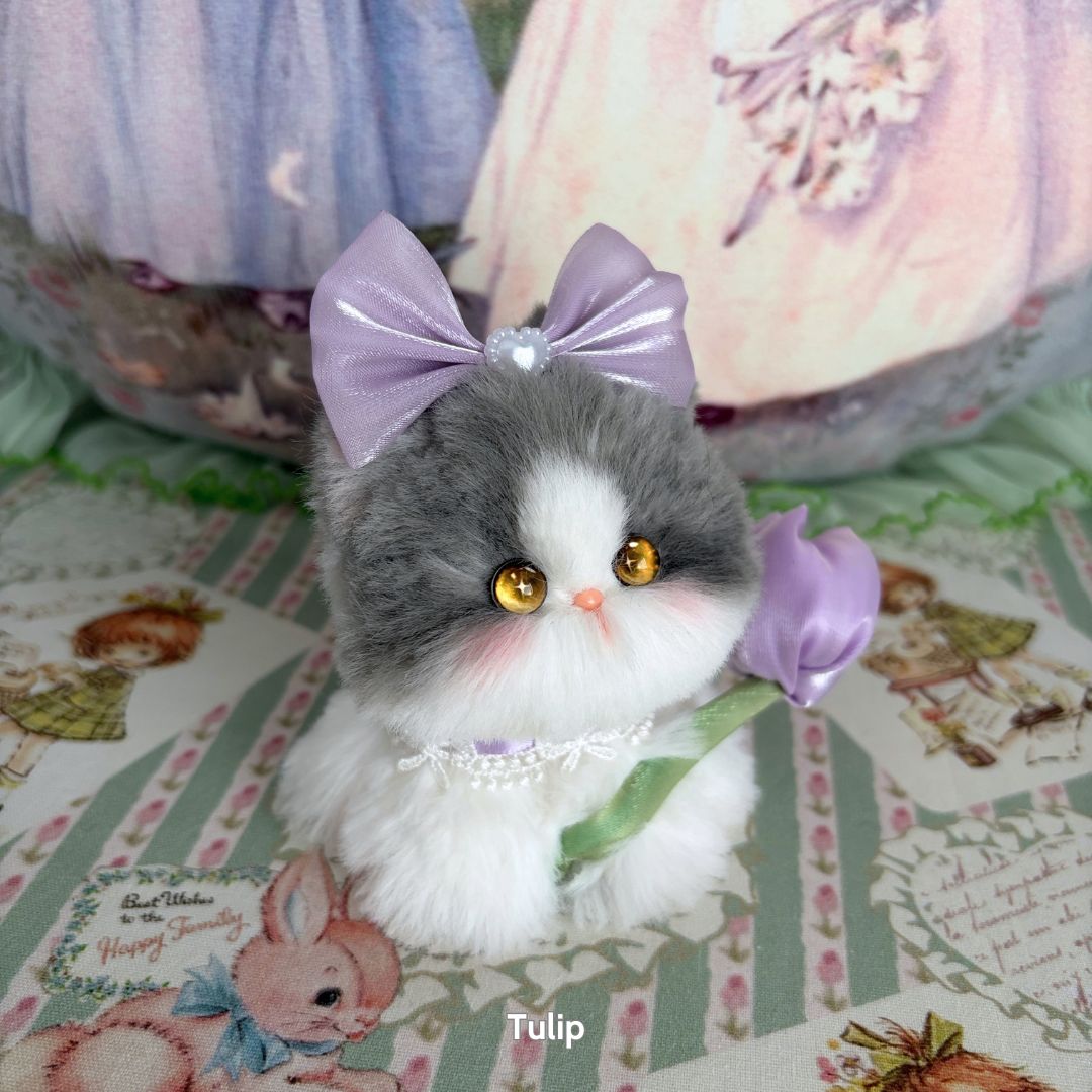 Blossom Kitten Collection