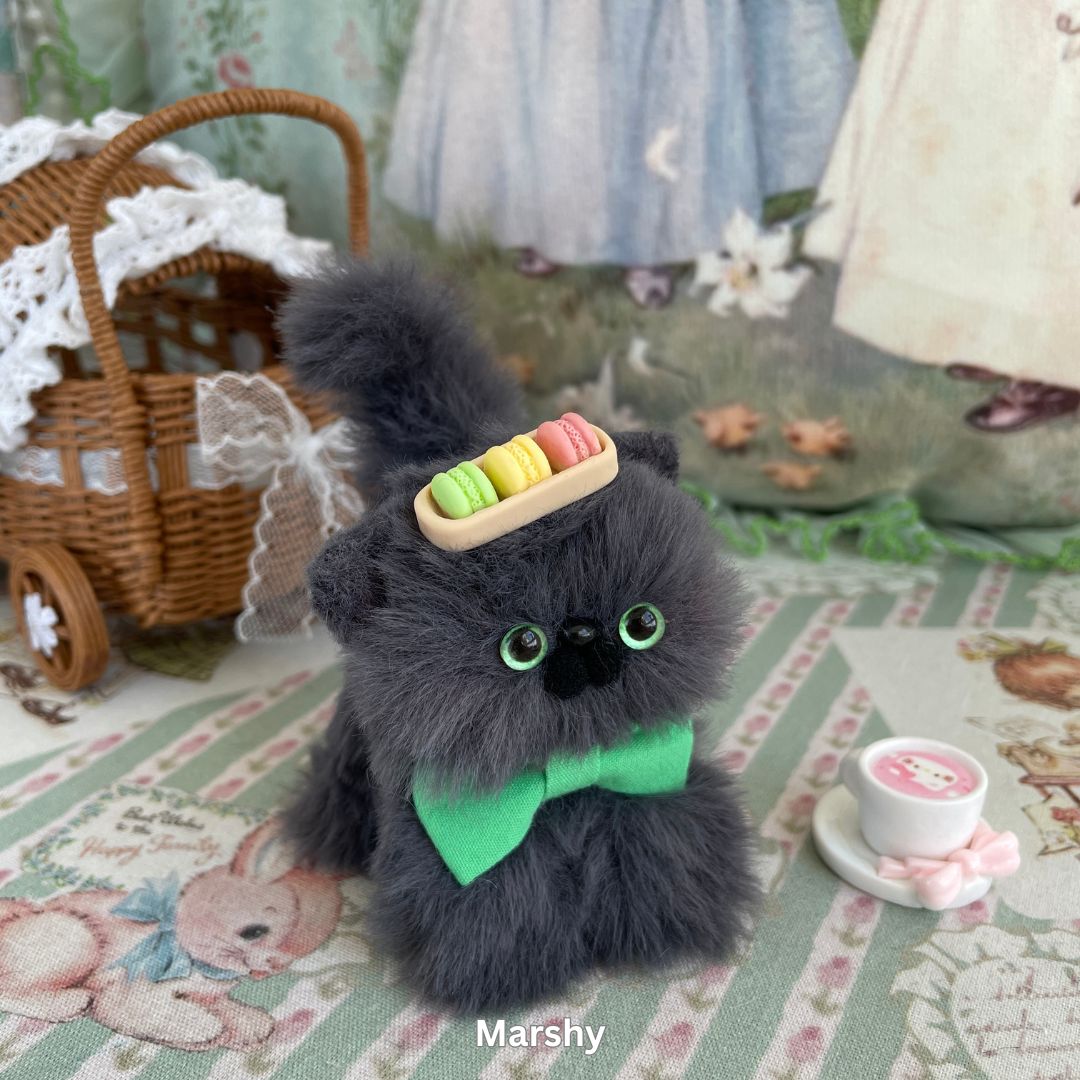 Gray Kitten Collection