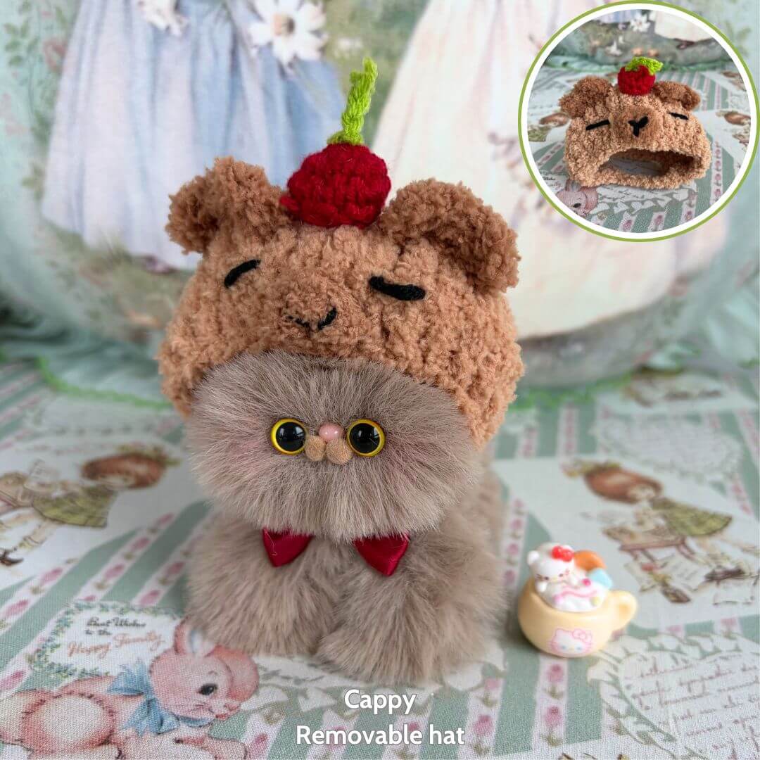 Fluffy Hoodie Kittens