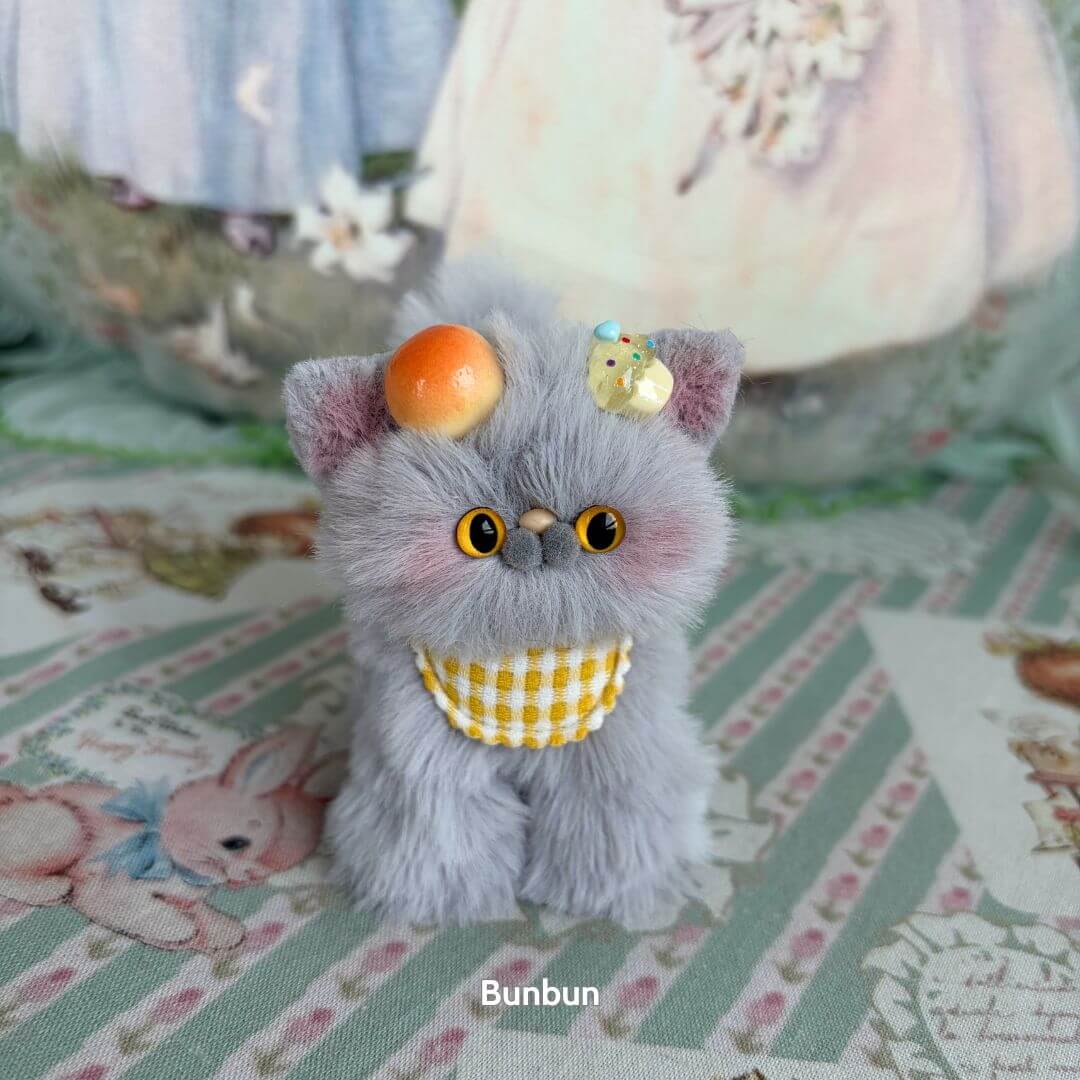 Grey Kitten Collection