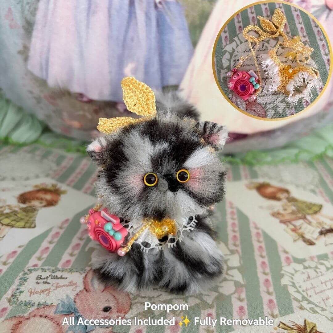Purrfect Summer Collection