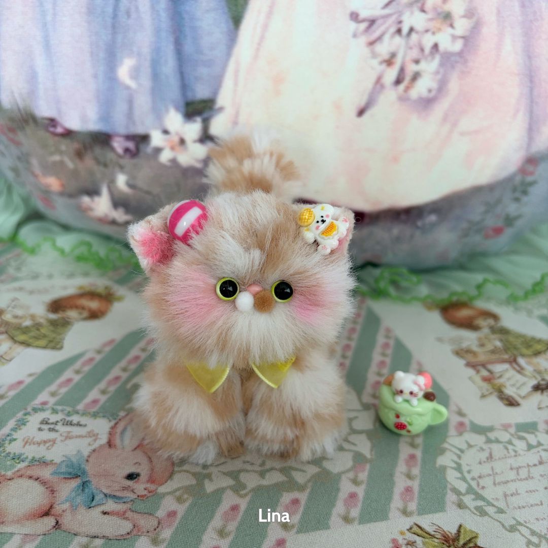 Adorable Kitten Collection