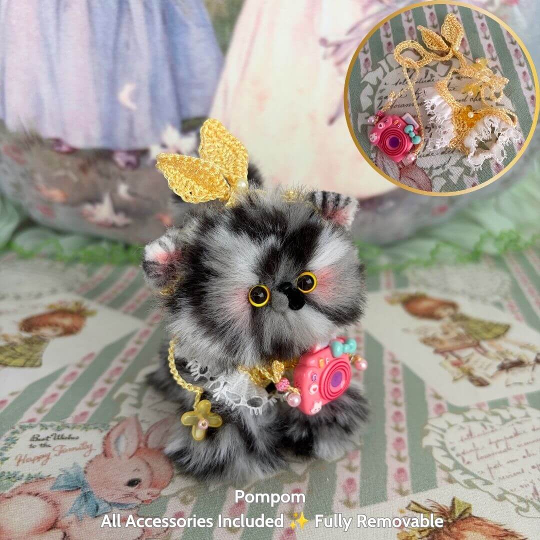 Purrfect Summer Collection
