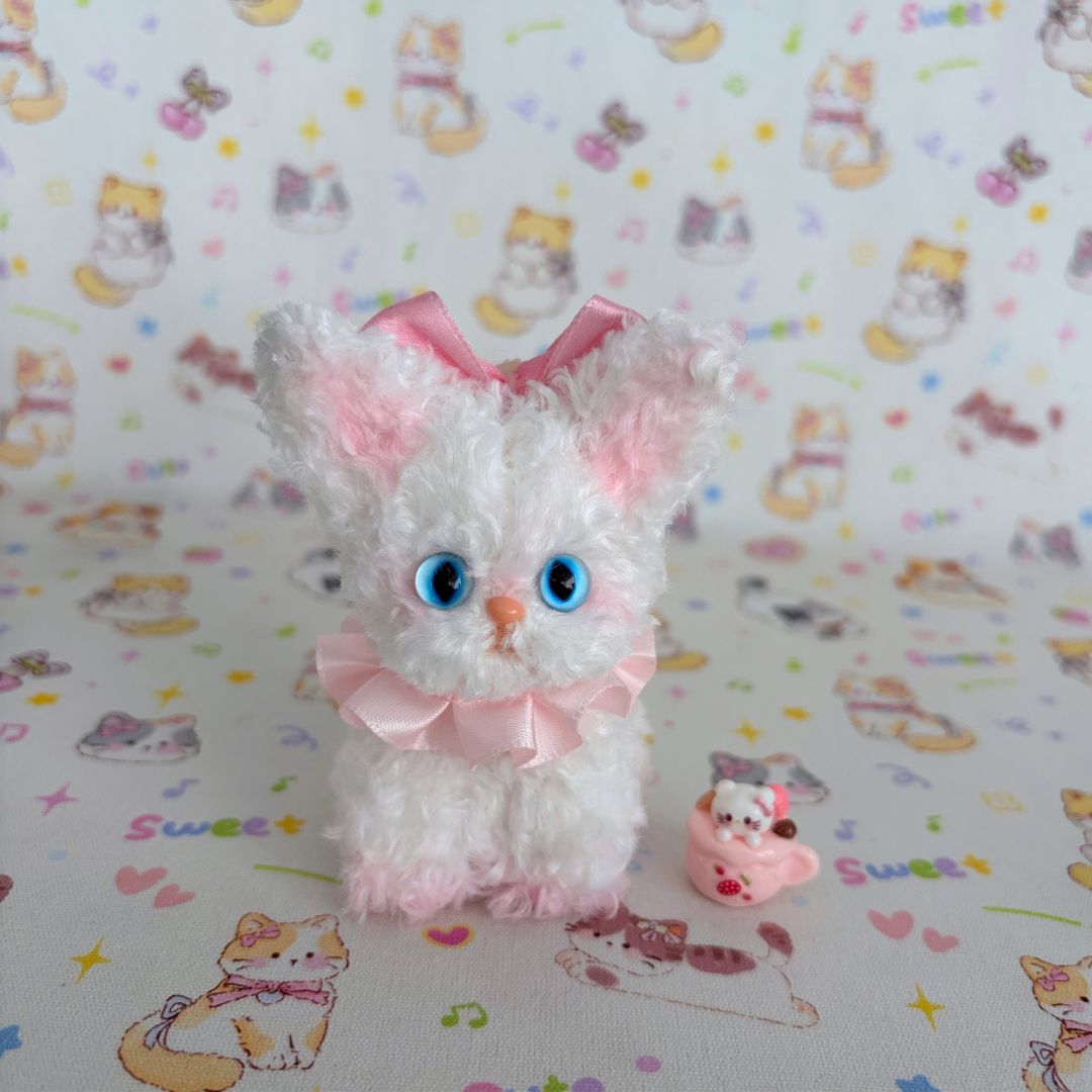 Devon Rex Kitties