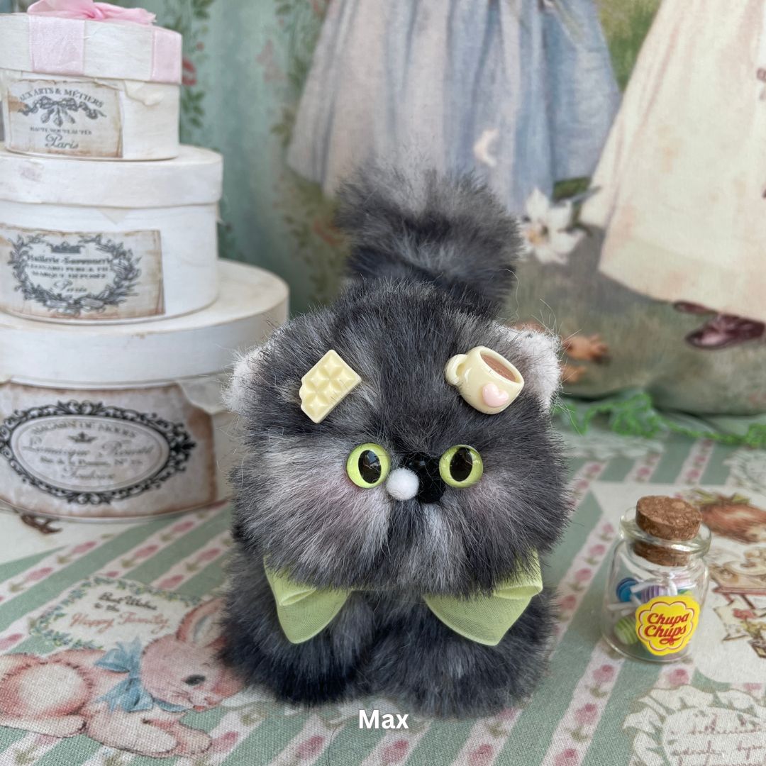 Fluffy Kitten Collection