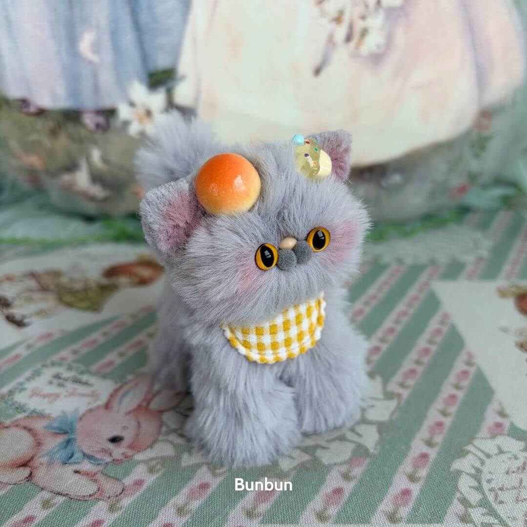 Grey Kitten Collection