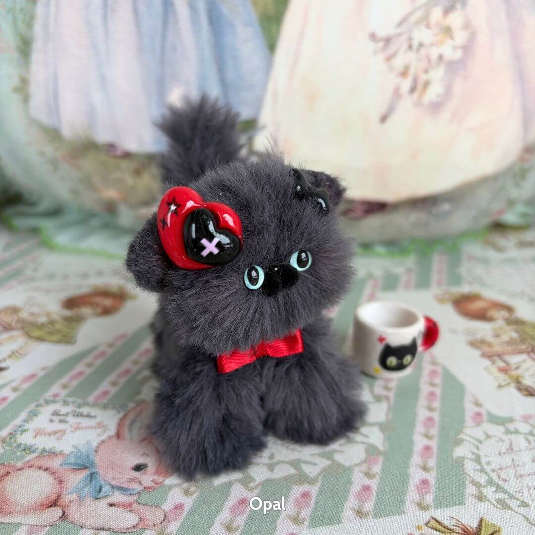 Grey Kitten Collection