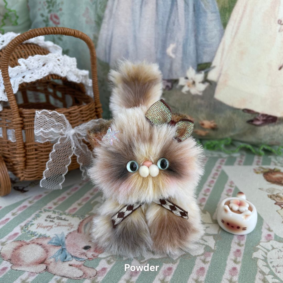 Adorable Kitten Collection