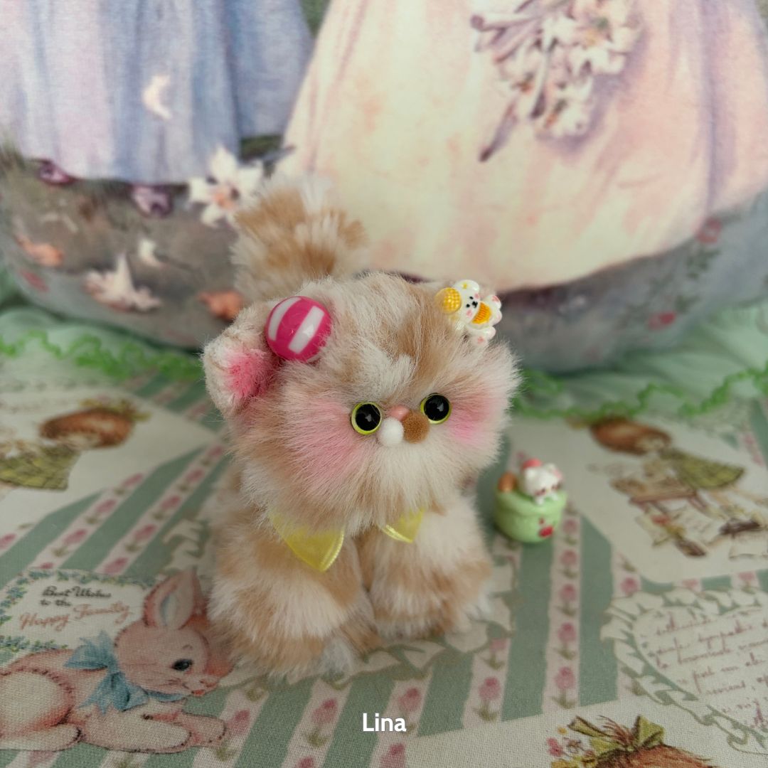 Adorable Kitten Collection