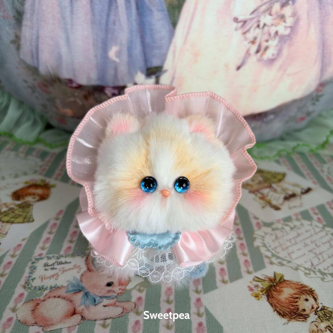 Cosplay Kitten Collection