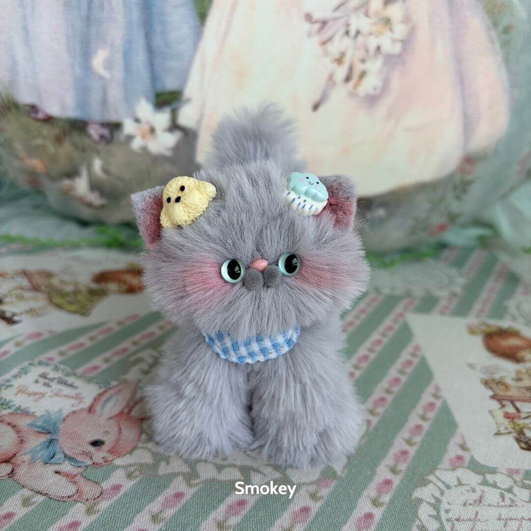 Grey Kitten Collection