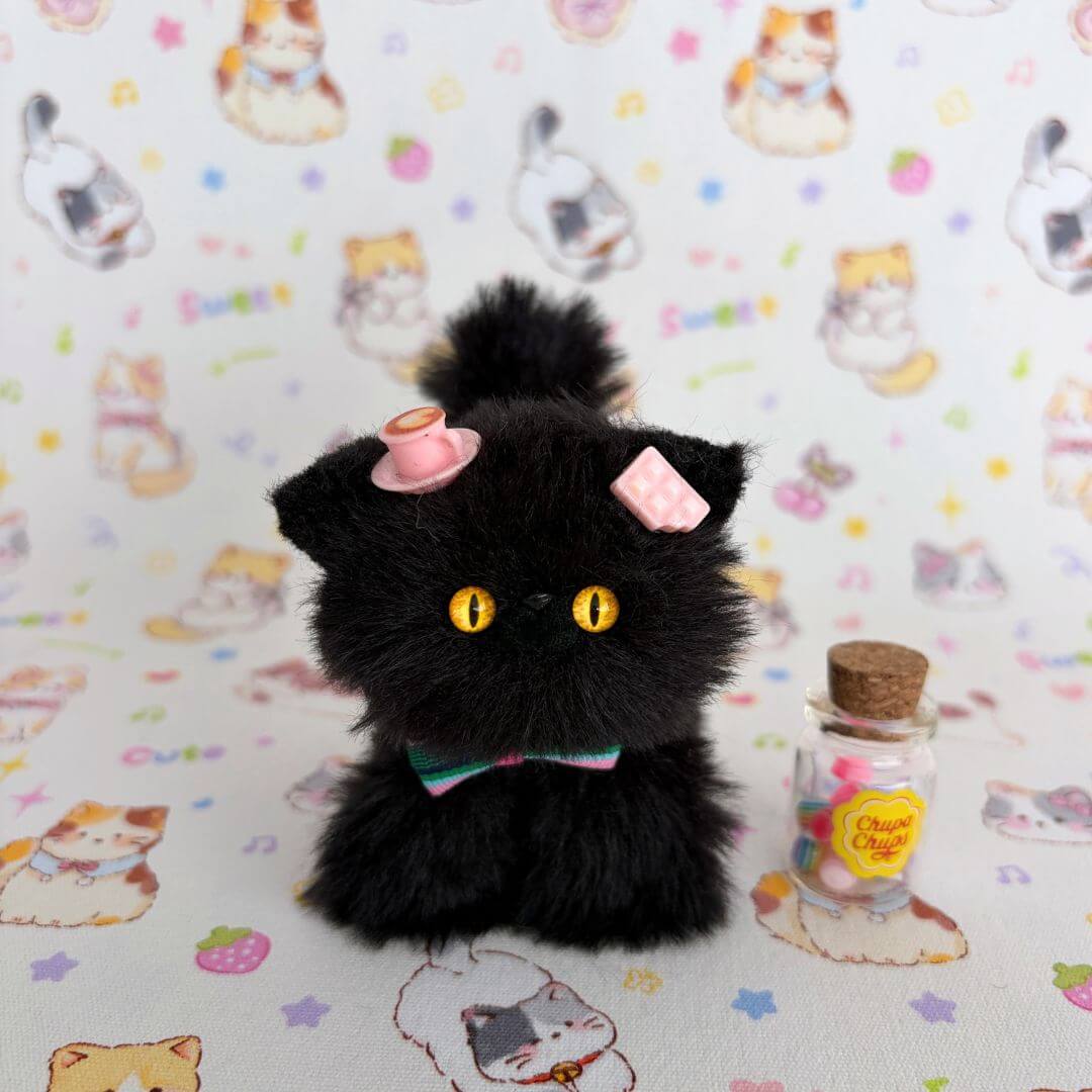 Black Kitten Collection