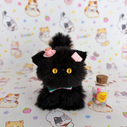 Black Kitten Collection