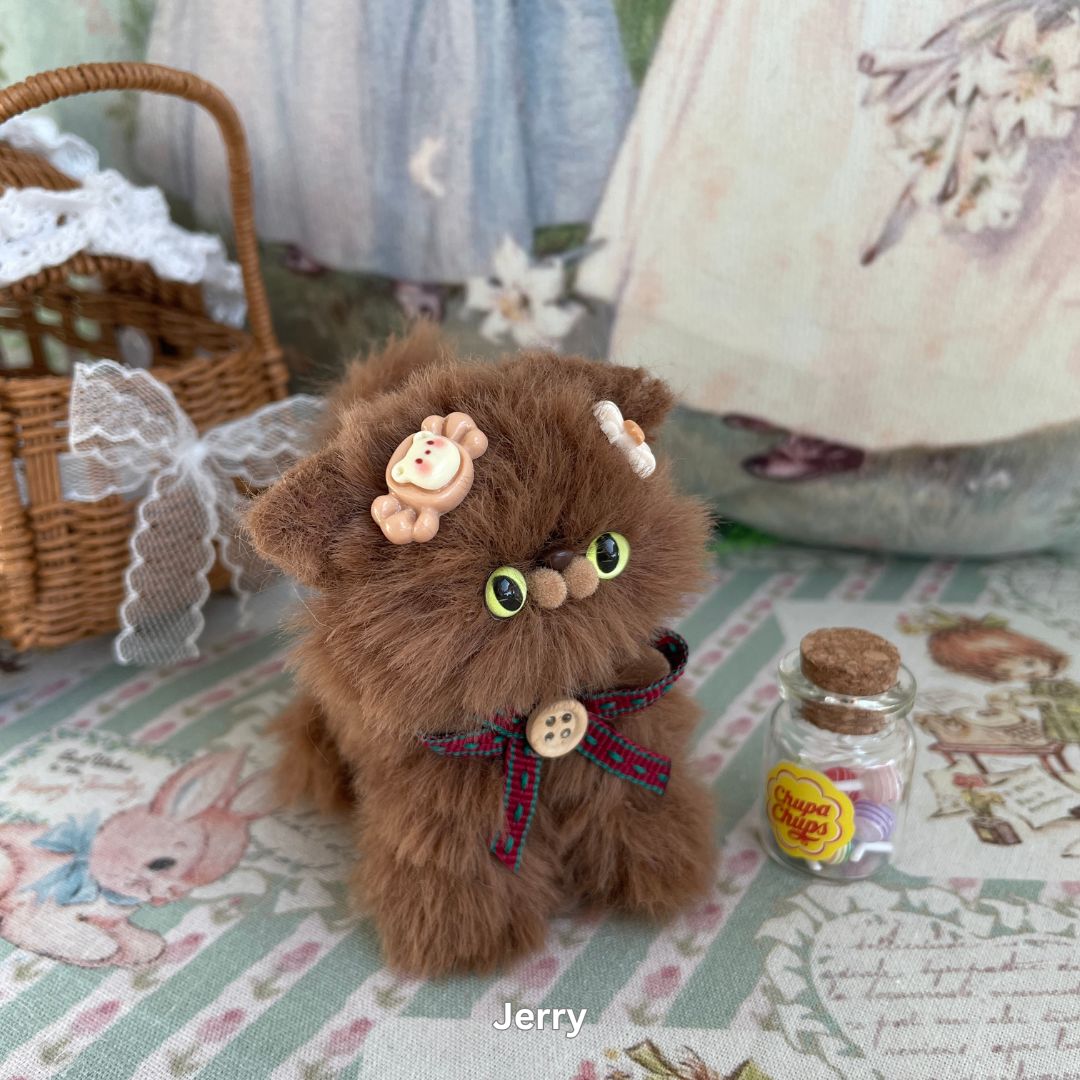 Brown Kitten Collection