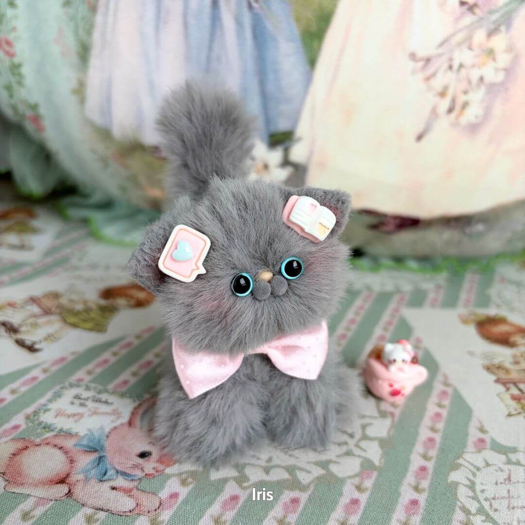 Grey Kitten Collection