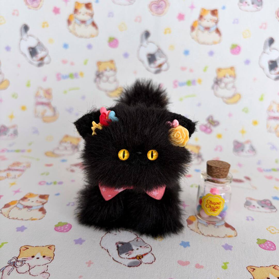 Black Kitten Collection