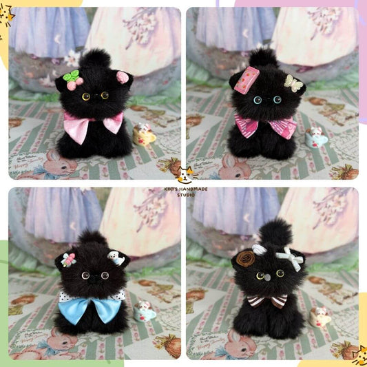 Black Kitten Collection