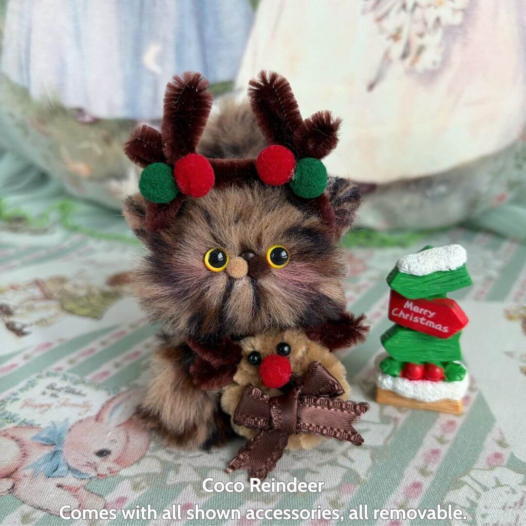 Christmas Kitten Collection