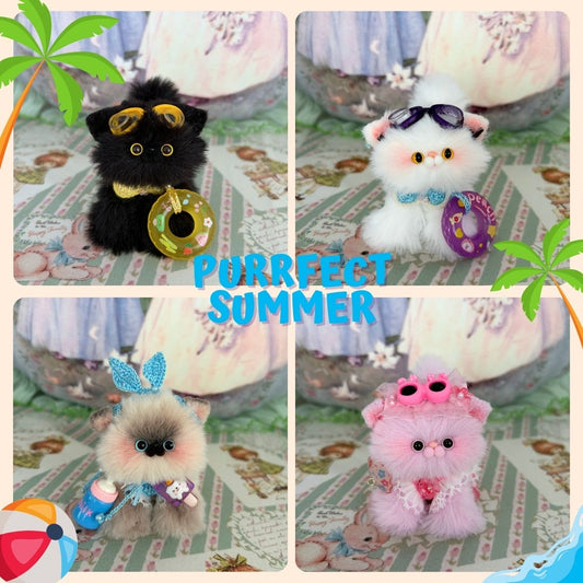 Purrfect Summer Collection