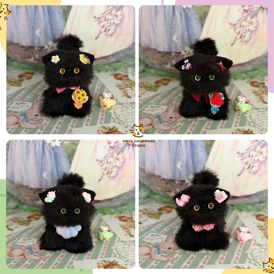 Black Kitten Collection