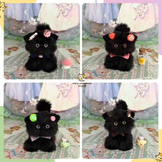 Black Kitten Collection