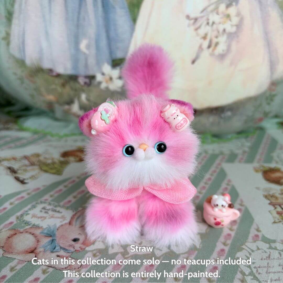 Sweet Dreams Kitten Collection