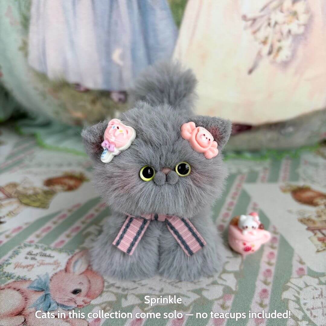 Grey Kitten Collection