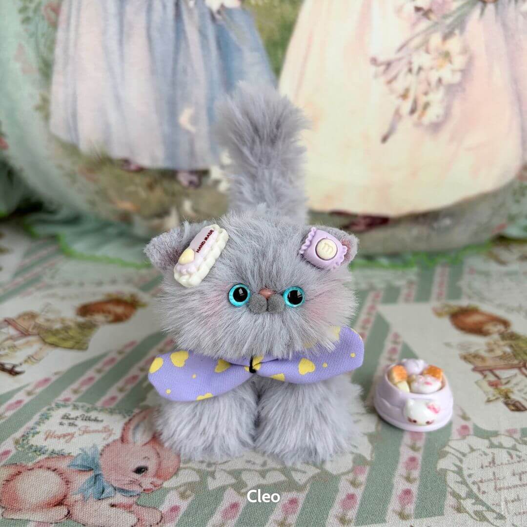 Grey Kitten Collection