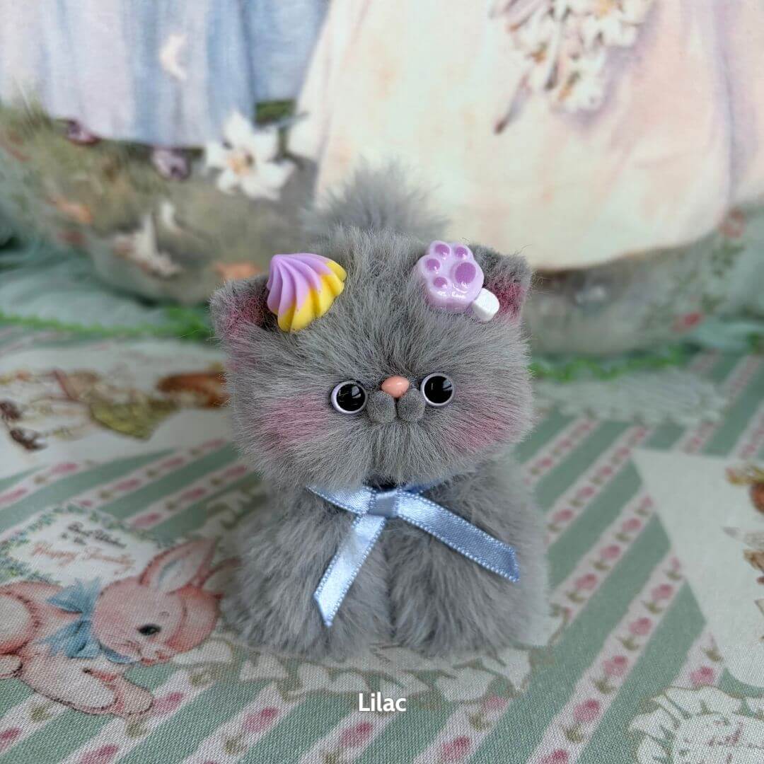Grey Kitten Collection
