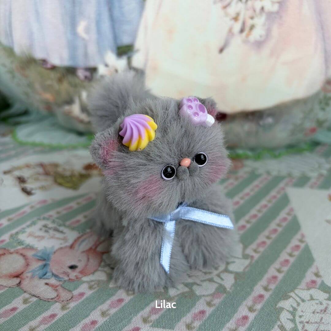Grey Kitten Collection