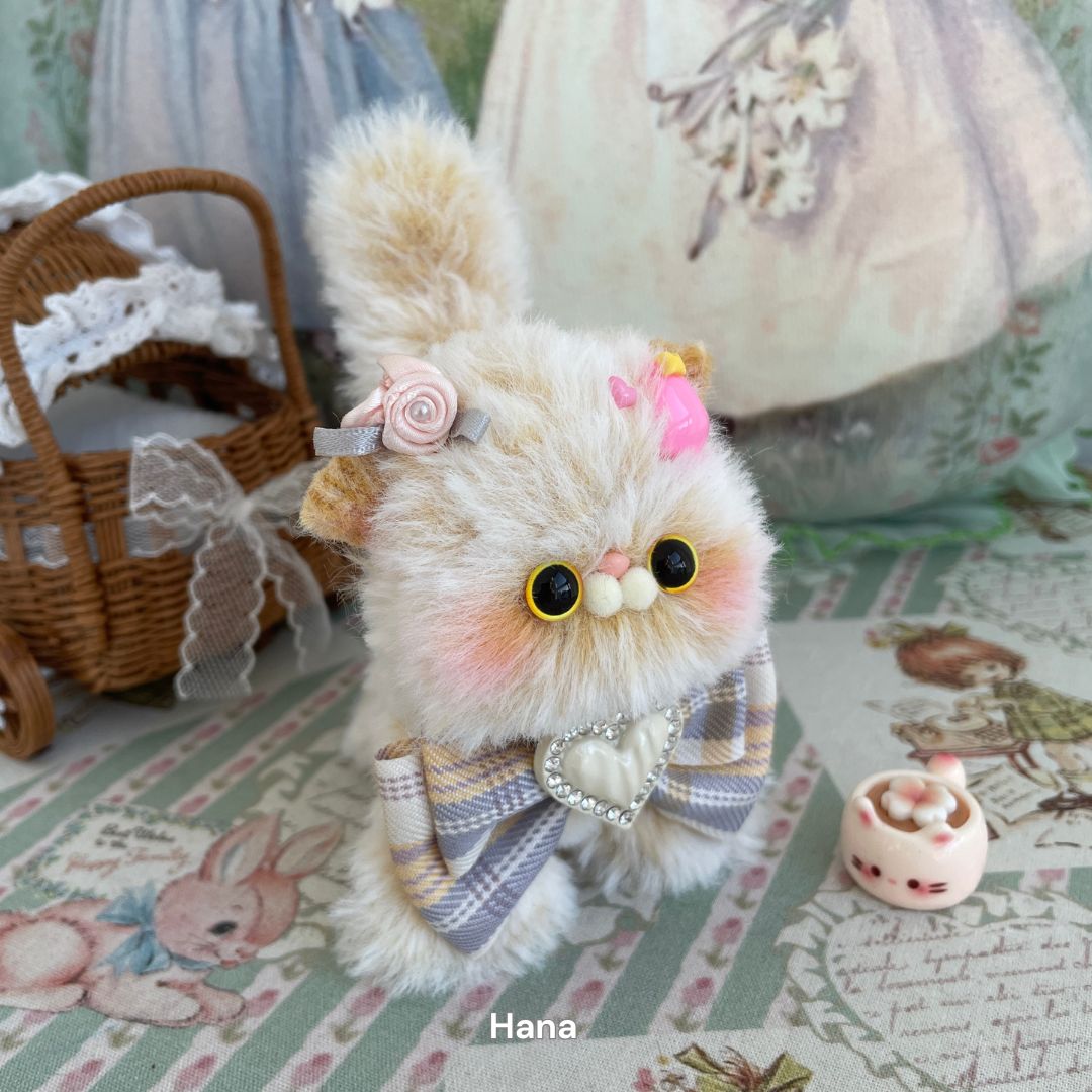 Dress-Up Kitten Collection