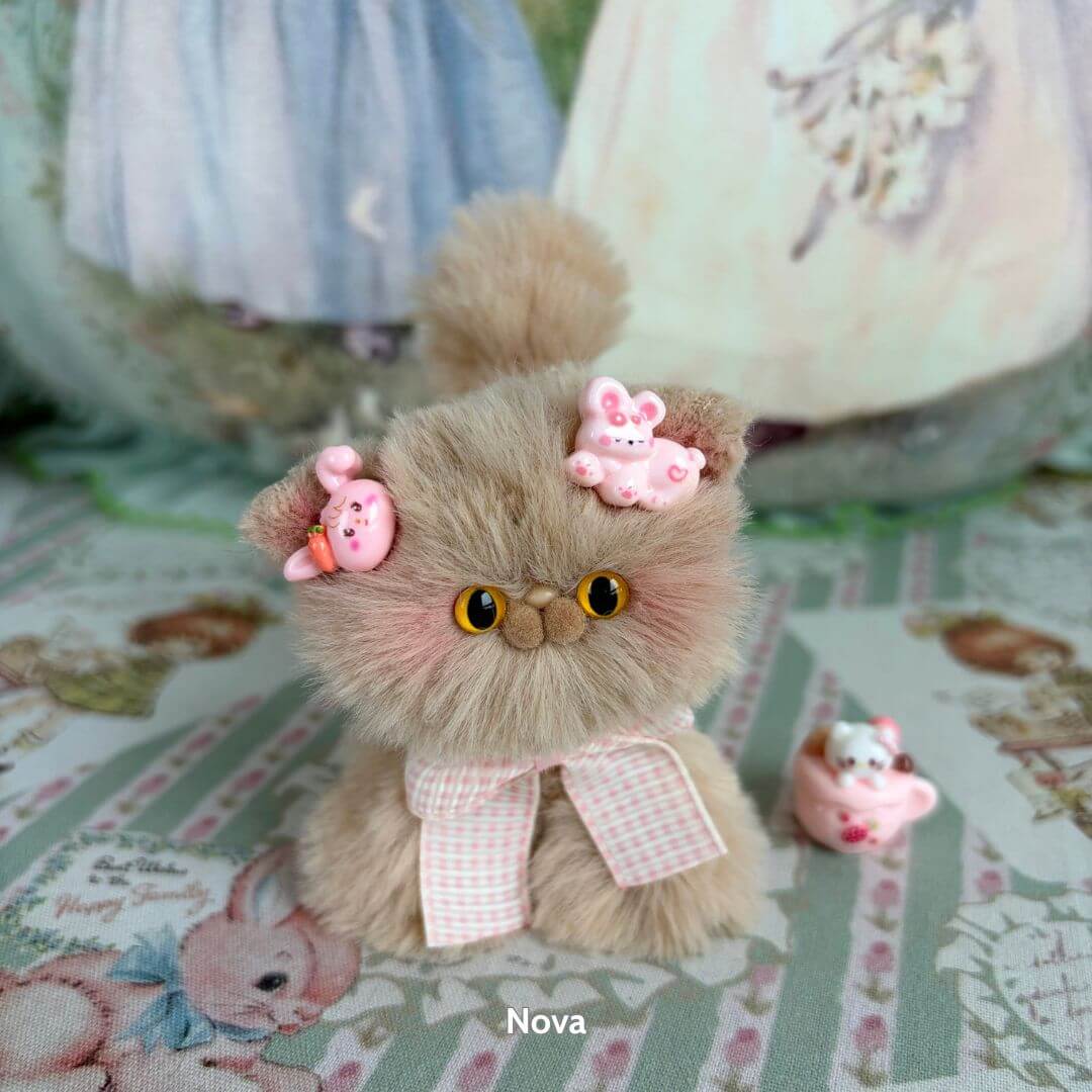 Brown Kitten Collection