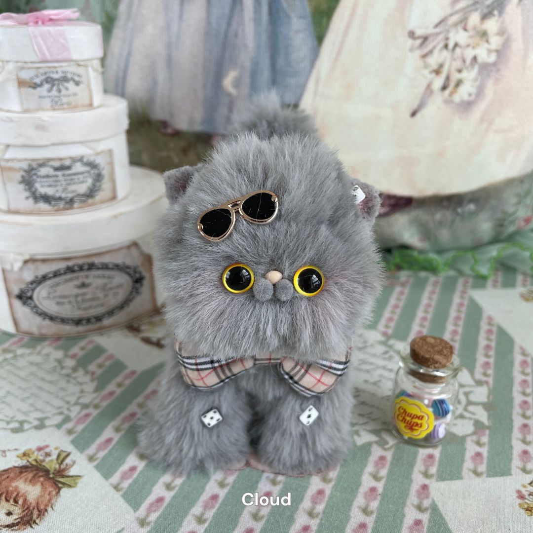 Dress-Up Kitten Collection