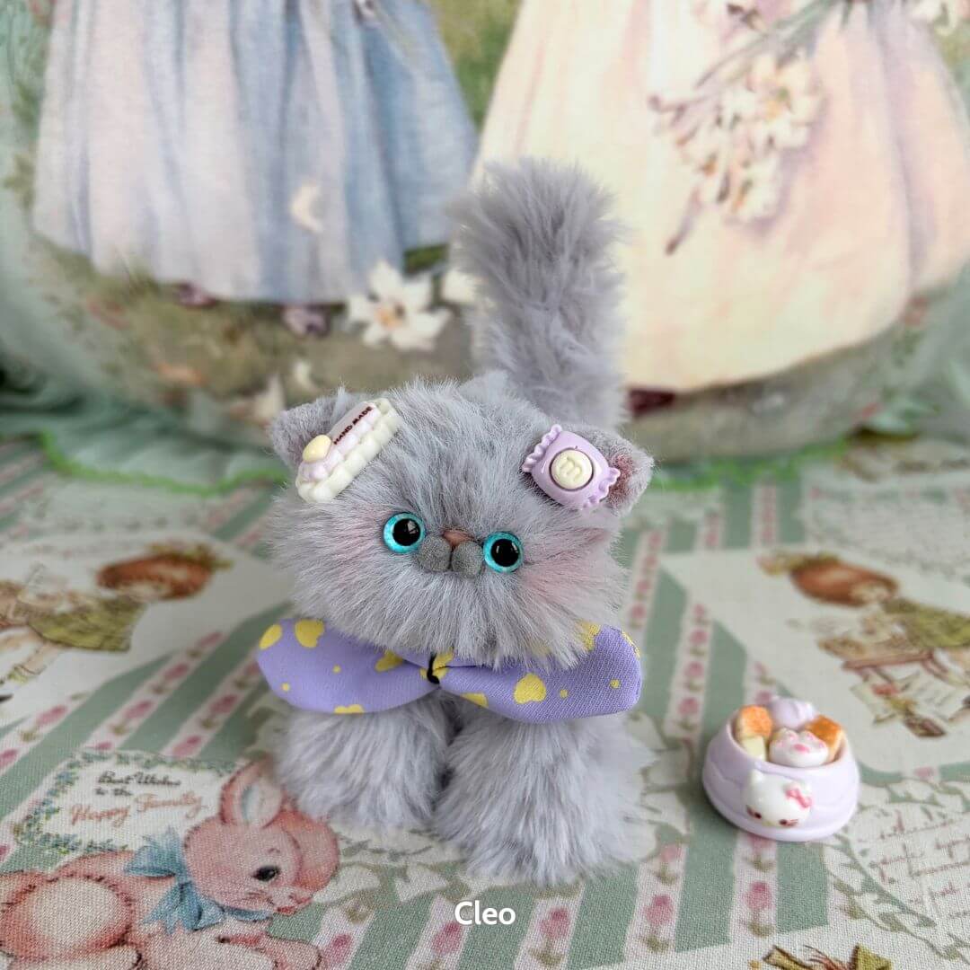 Grey Kitten Collection