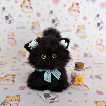 Black Kitten Collection
