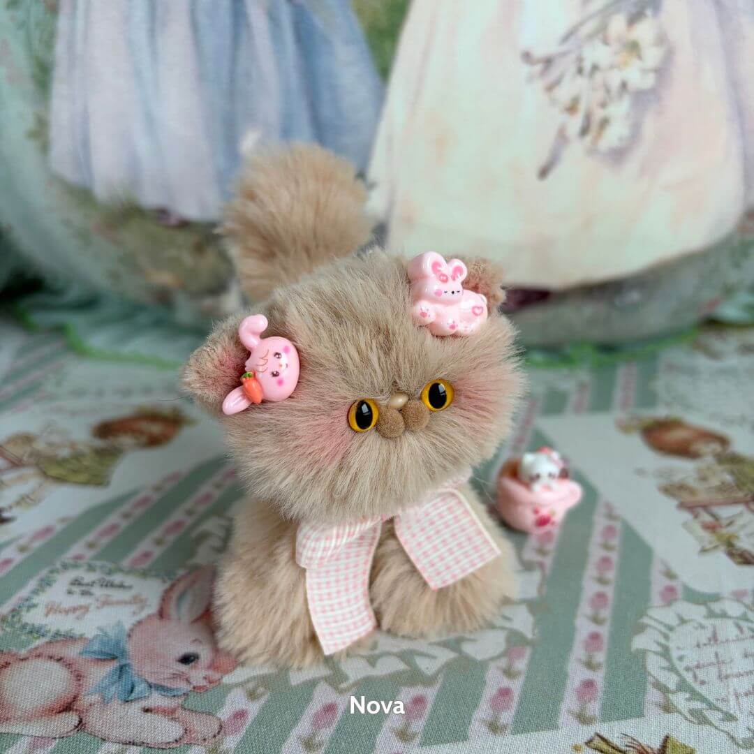 Brown Kitten Collection