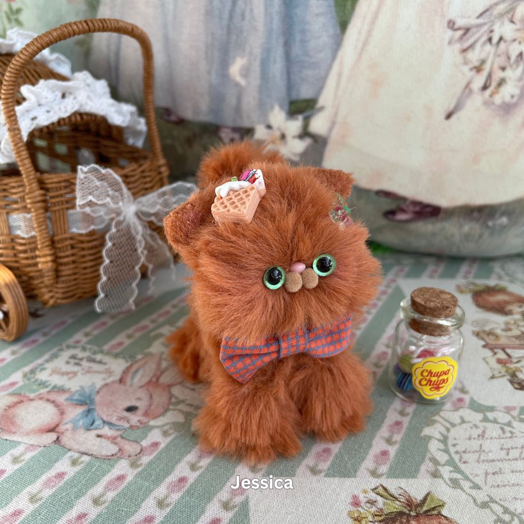Brown Kitten Collection
