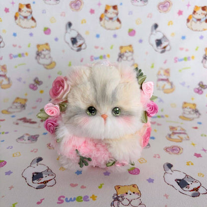 Blossom Kitten Collection