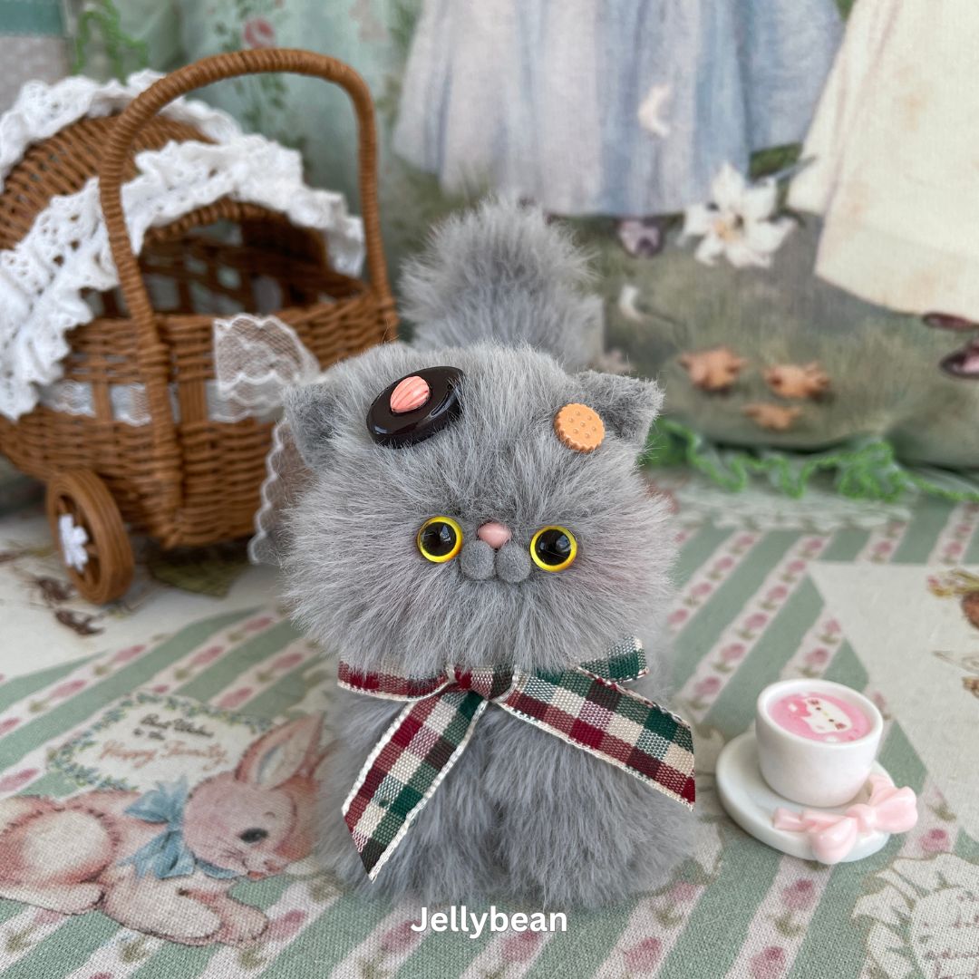 Gray Kitten Collection