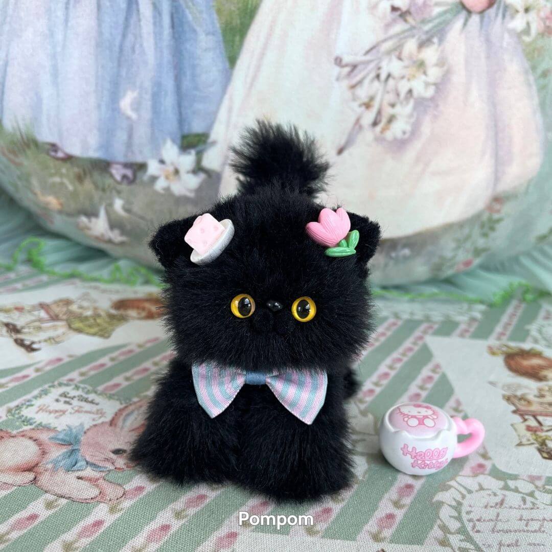 Black Kitten Collection