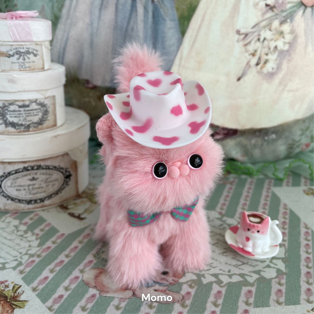 Dress-Up Kitten Collection