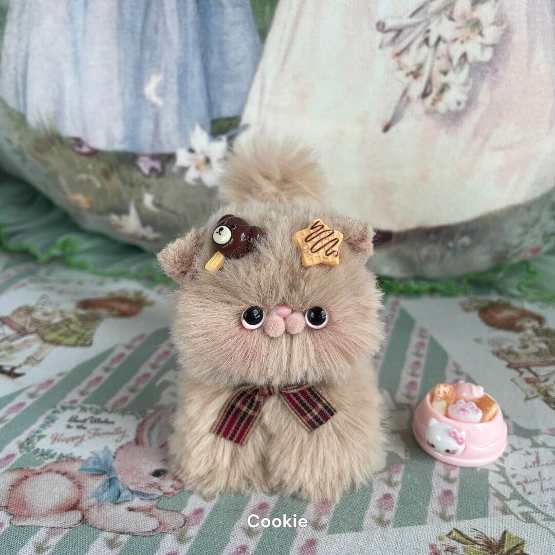 Brown Kitten Collection