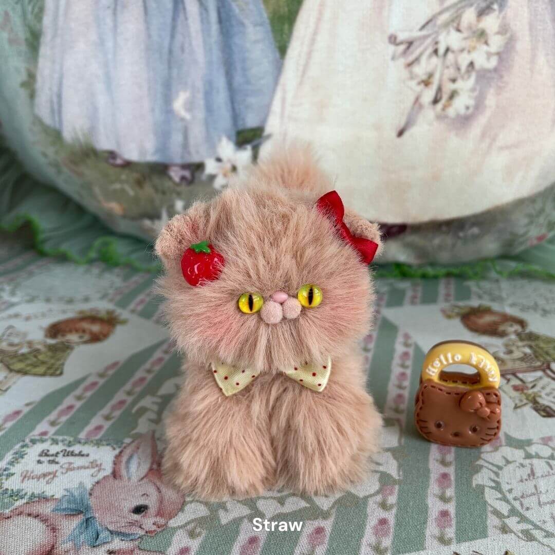 Brown Kitten Collection
