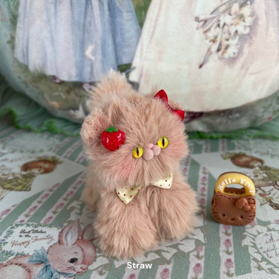 Brown Kitten Collection