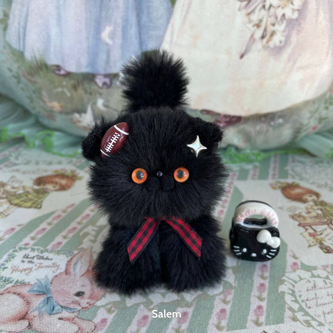 Black Kitten Collection