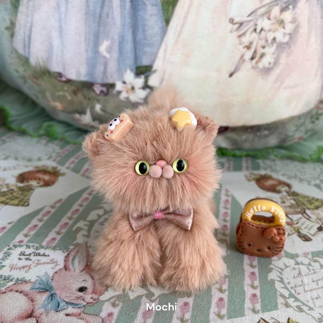 Brown Kitten Collection