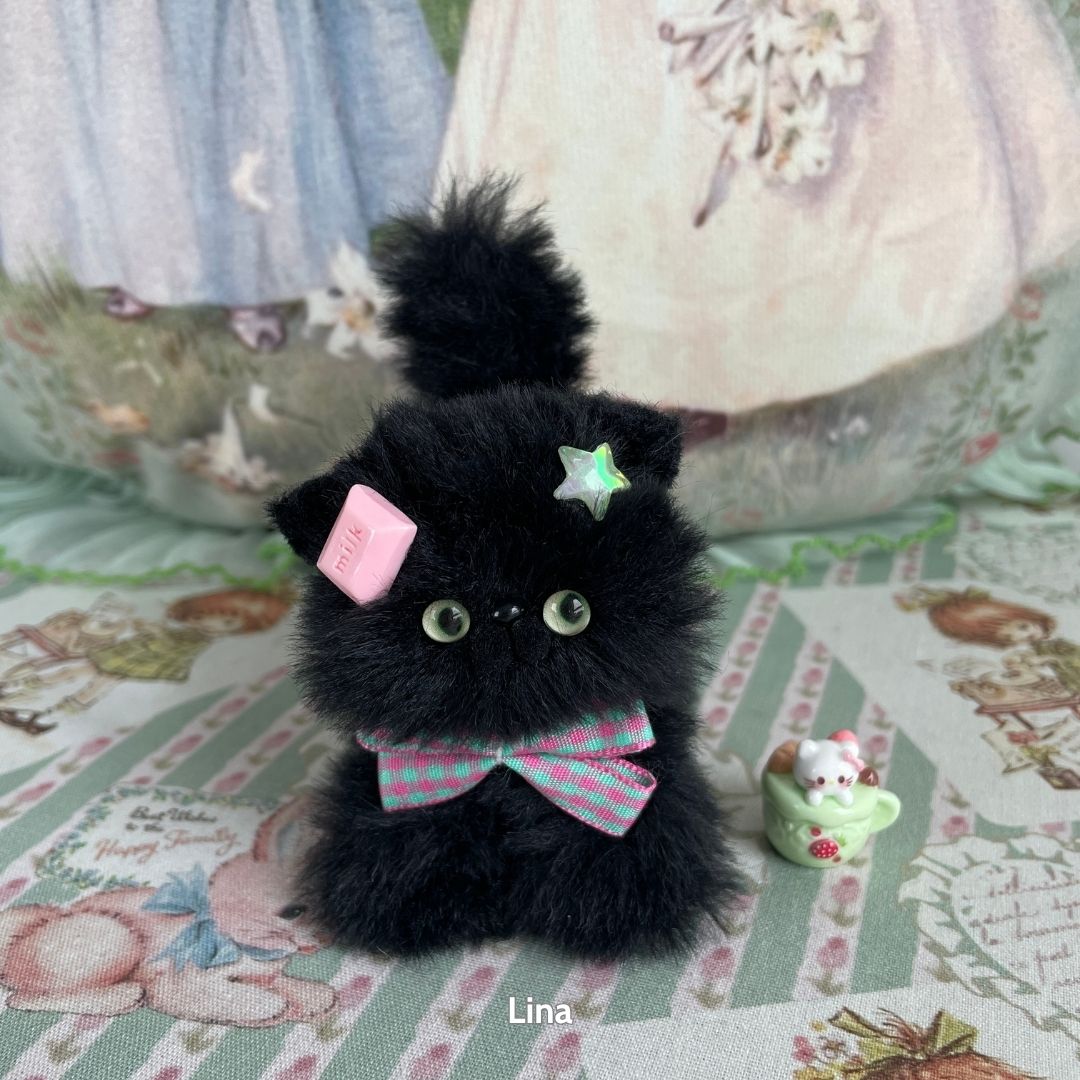 Black Kitten Collection