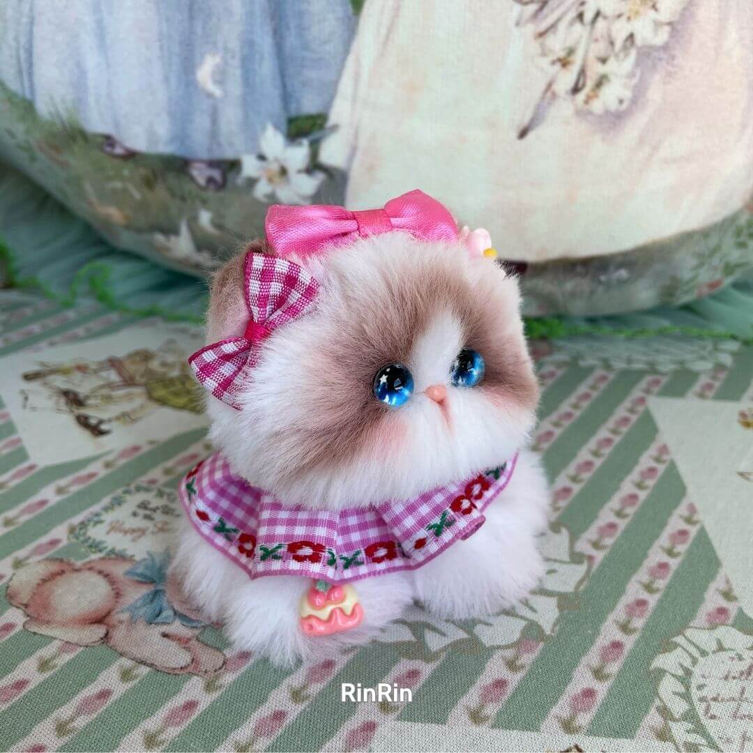 Cosplay Kitten Collection