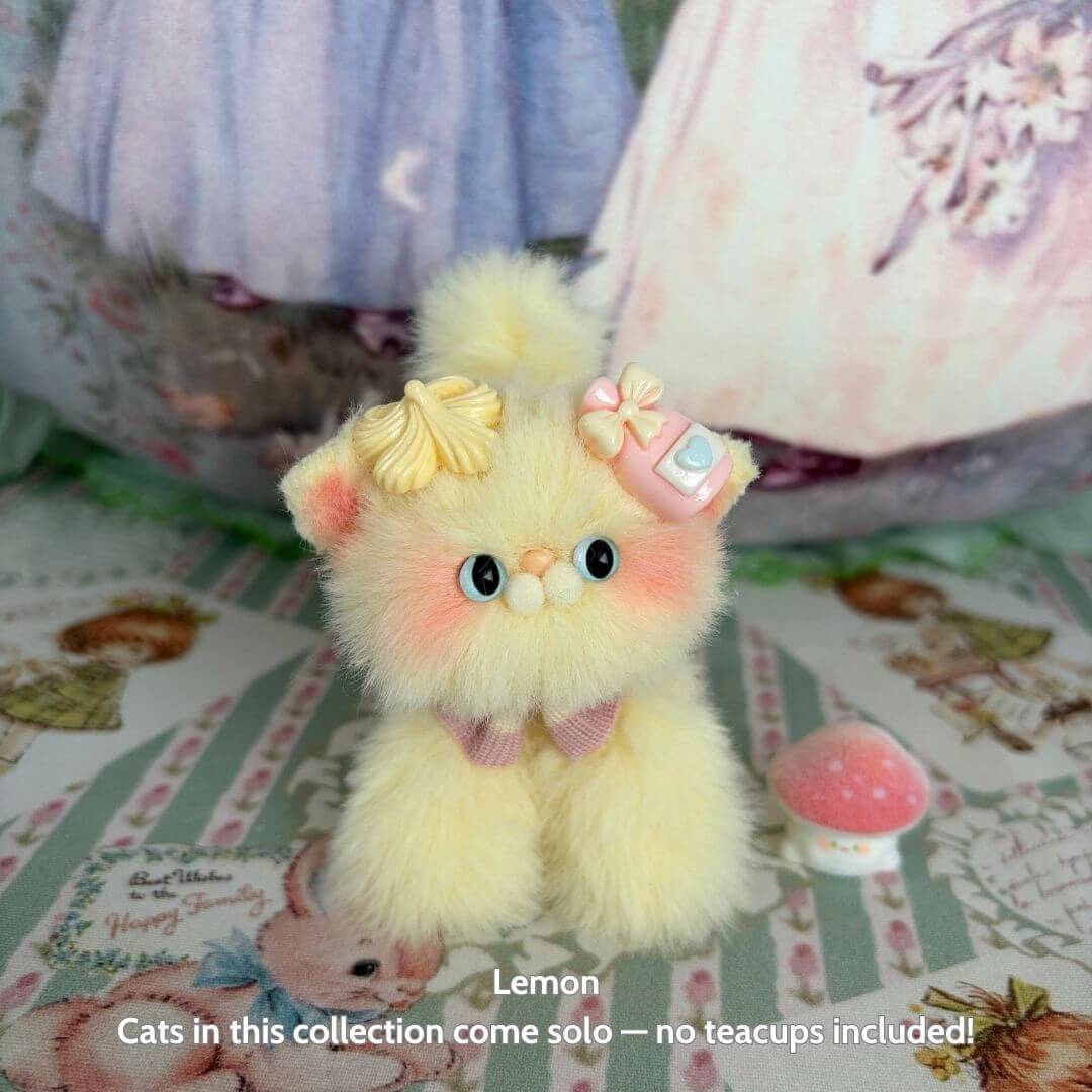 Fruity Kitten Collection